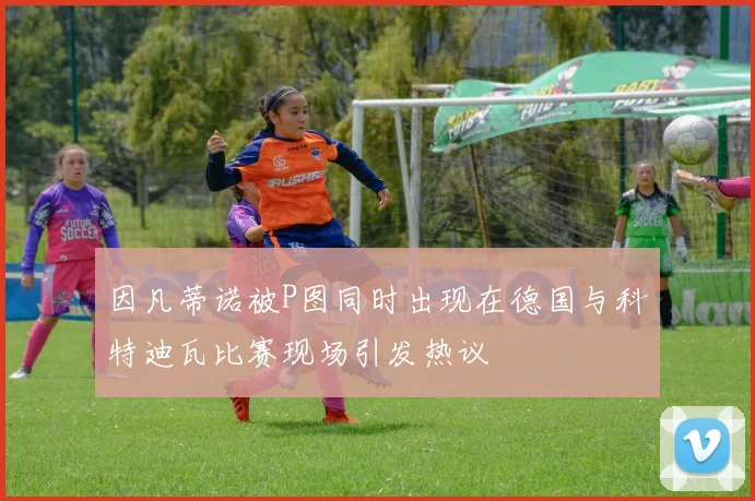 因凡蒂诺被P图同时出现在德国与科特迪瓦比赛现场引发热议